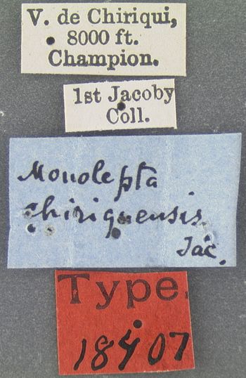 Media type: image; Entomology 18407   Aspect: labels